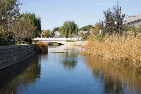 玉合公園怎麼樣 當我們談論公園時，是否也該考慮其在文化傳承與環境保護之間的平衡？